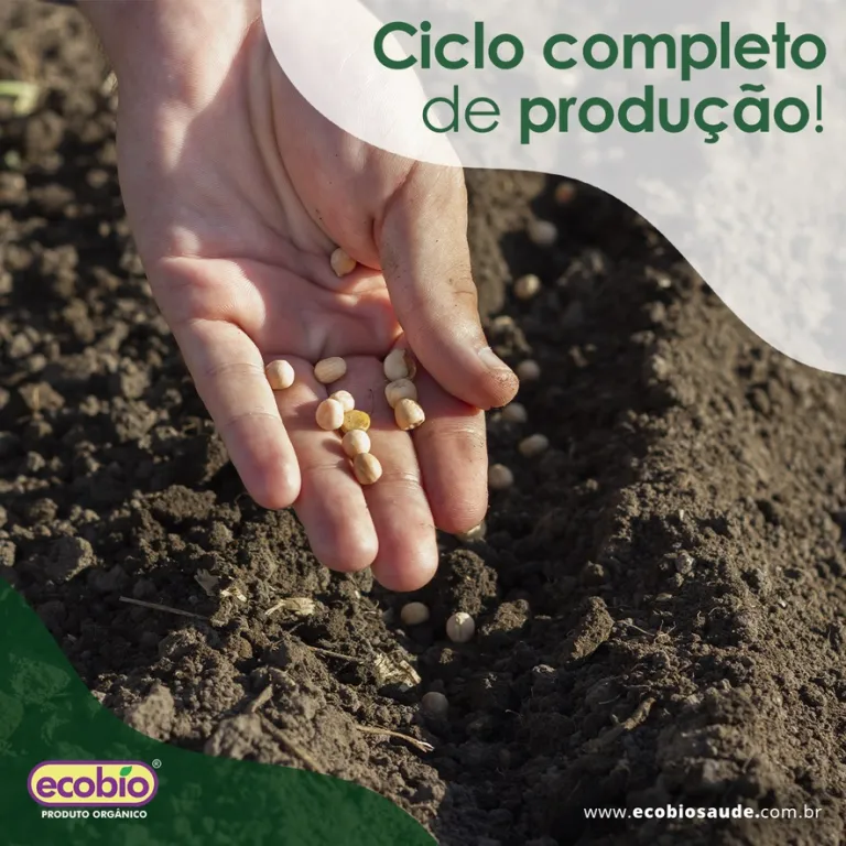 Ciclo completo de produção